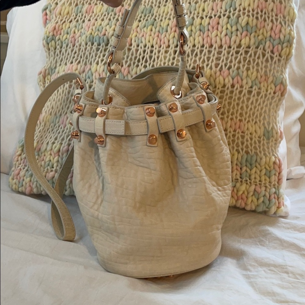 Alexander Wang handbag